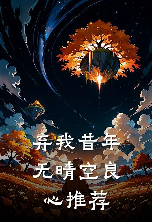 弃我昔年无晴空良心推荐