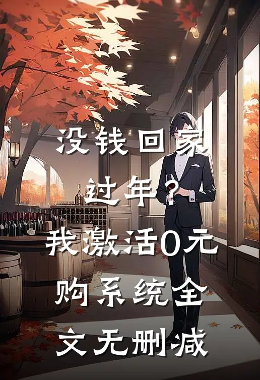 没钱回家过年？我激活0元购系统全文无删减