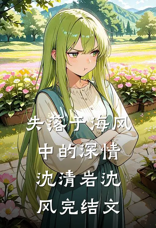 失落于海风中的深情沈清岩沈风完结文