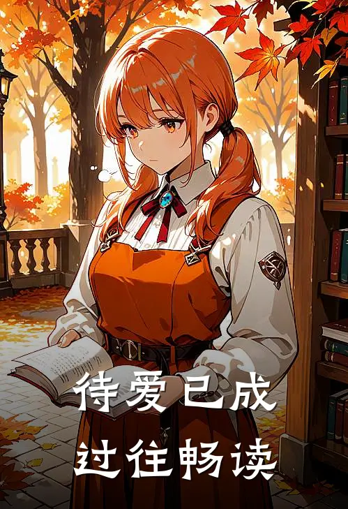 待爱已成过往畅读