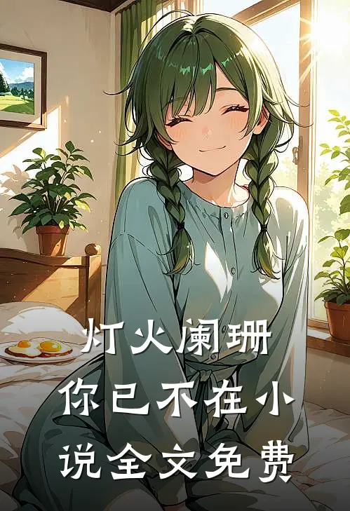 灯火阑珊，你已不在小说全文免费