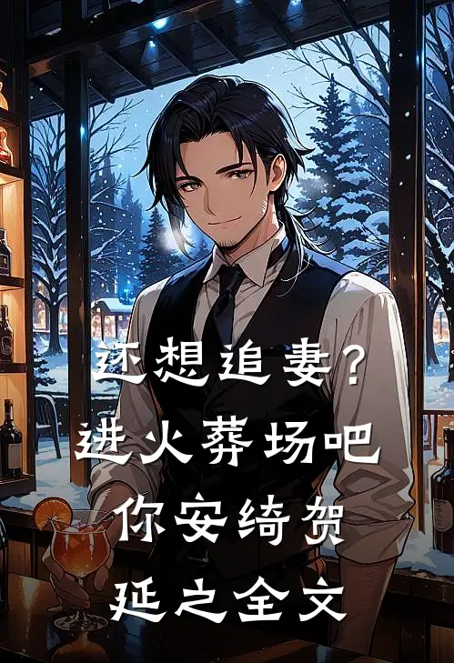 还想追妻？进火葬场吧你安绮贺延之全文