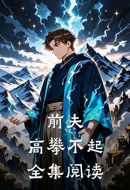 前夫，高攀不起全集阅读