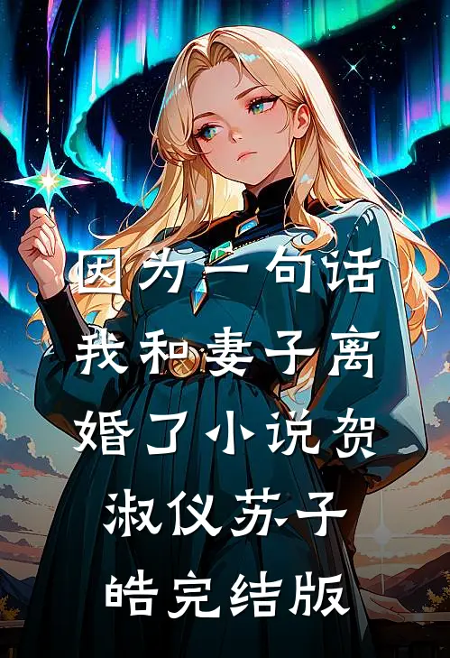 因为一句话，我和妻子离婚了小说贺淑仪苏子皓完结版