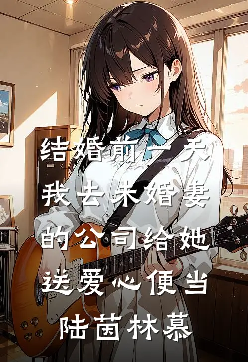 结婚前一天，我去未婚妻的公司给她送爱心便当陆茵林慕
