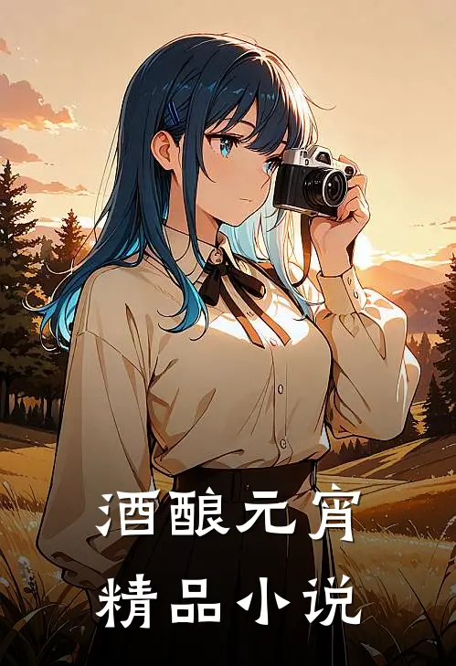 酒酿元宵精品小说