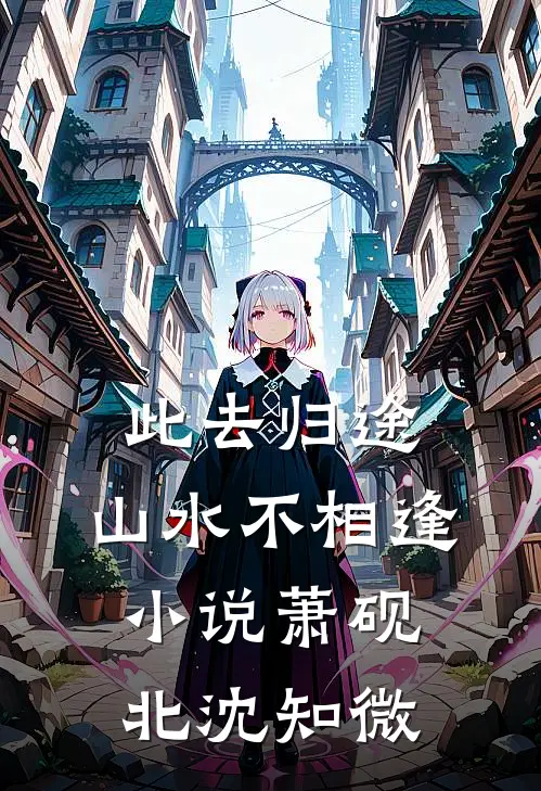 此去归途，山水不相逢小说萧砚北沈知微
