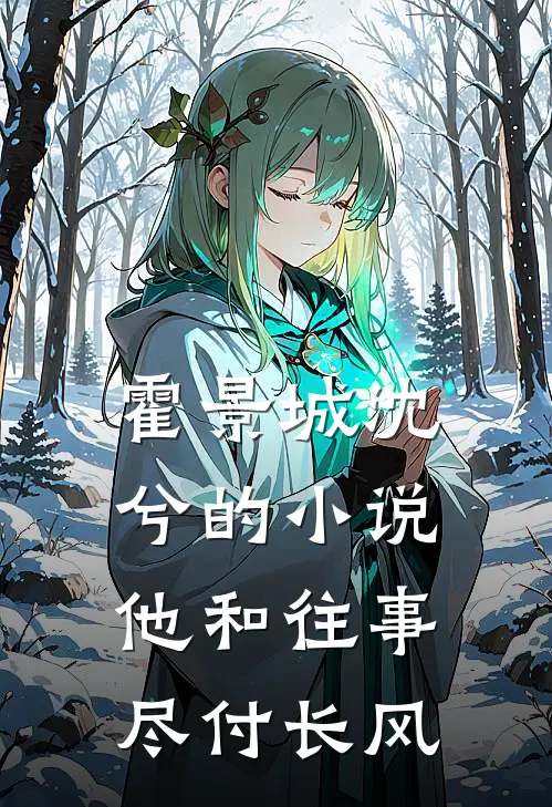 霍景城沈兮的小说他和往事，尽付长风