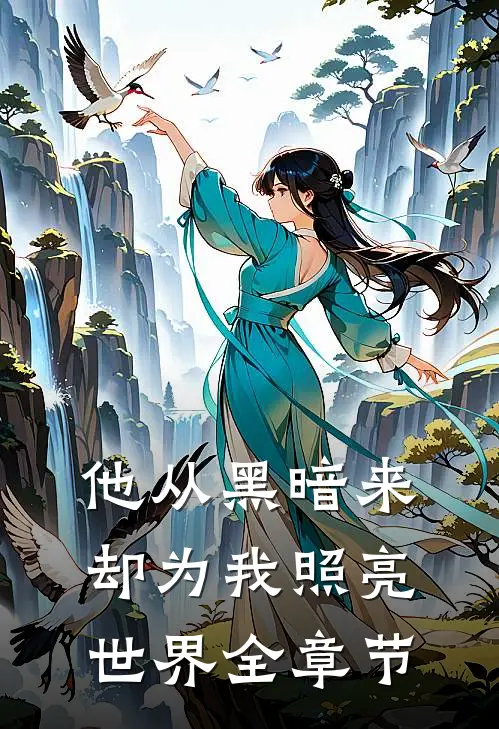 他从黑暗来，却为我照亮世界全章节