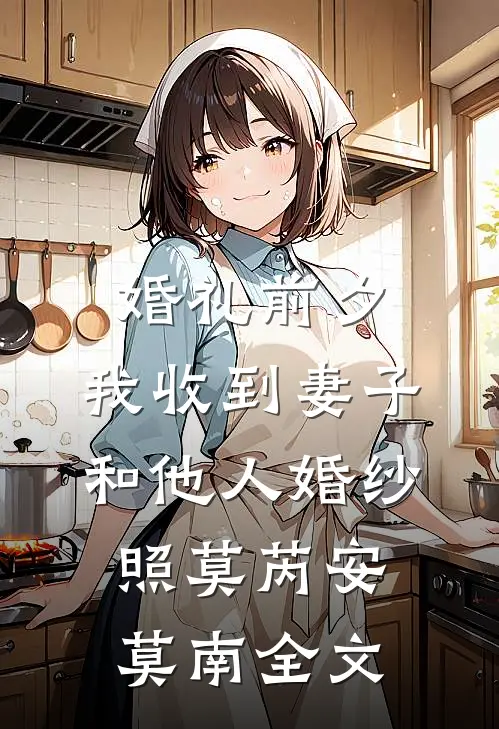 婚礼前夕，我收到妻子和他人婚纱照莫芮安莫南全文