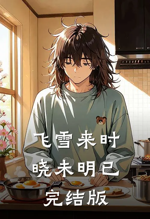 飞雪来时晓未明已完结版