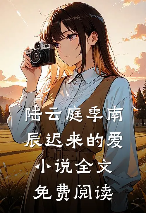 陆云庭季南辰迟来的爱小说全文免费阅读