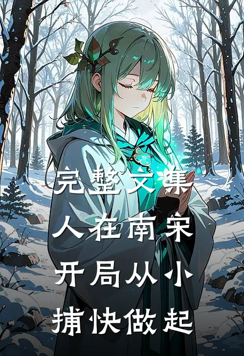 完整文集人在南宋：开局从小捕快做起