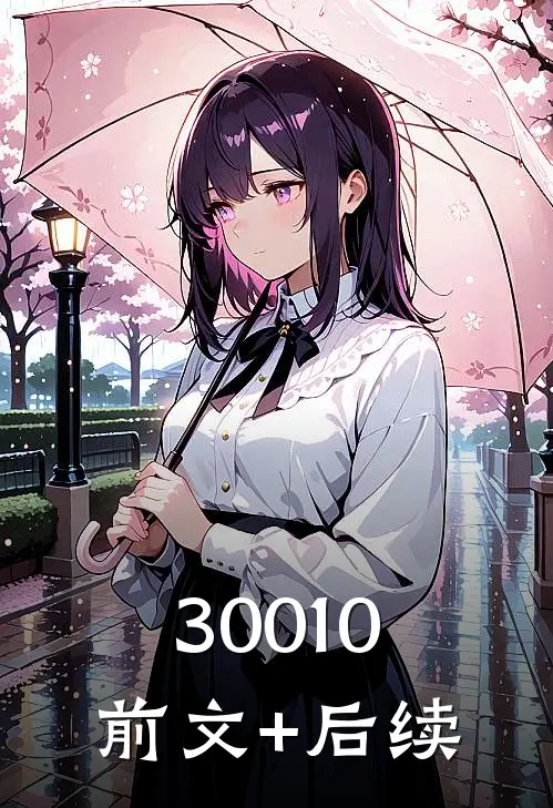 30010前文+后续