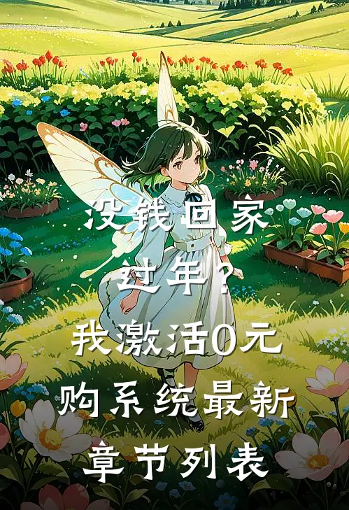 没钱回家过年？我激活0元购系统最新章节列表