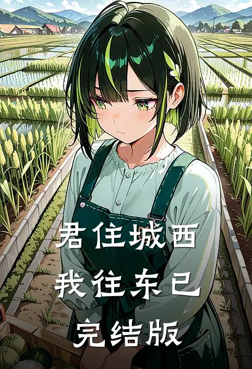 君住城西我往东已完结版