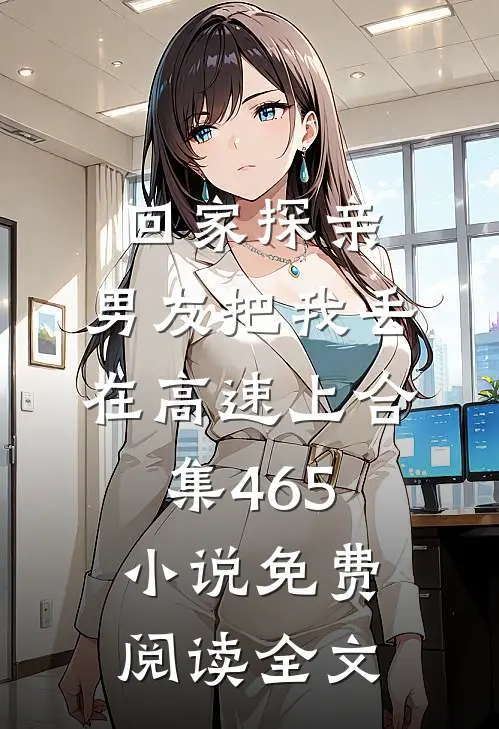 回家探亲，男友把我丢在高速上合集465小说免费阅读全文
