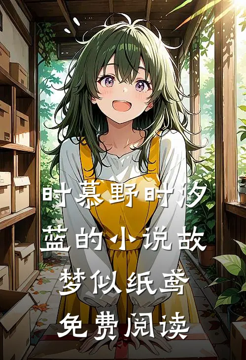 时慕野时汐蓝的小说故梦似纸鸢免费阅读