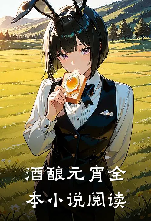 酒酿元宵全本小说阅读