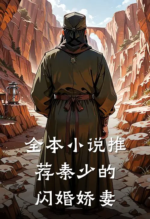全本小说推荐秦少的闪婚娇妻