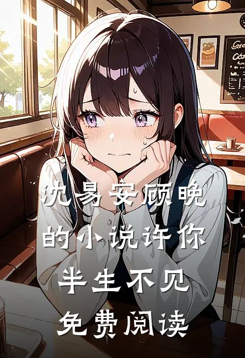沈易安顾晚的小说许你半生不见免费阅读