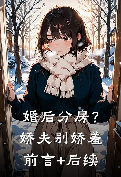 婚后分房？娇夫别娇羞前言+后续