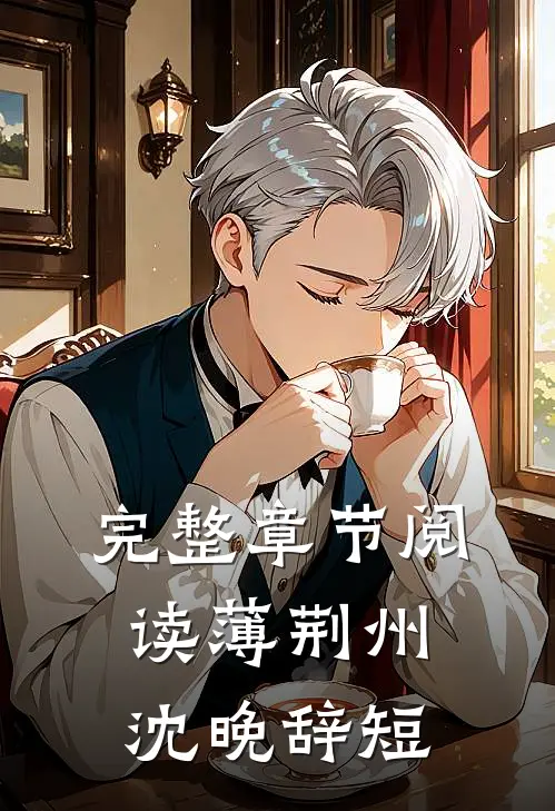 完整章节阅读薄荆州沈晚辞短