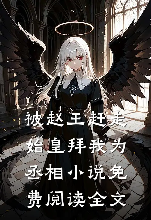 被赵王赶走，始皇拜我为丞相小说免费阅读全文