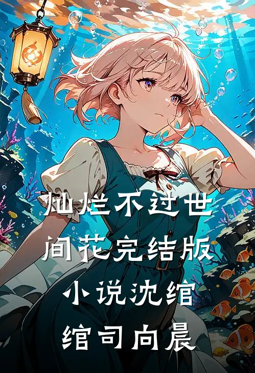 灿烂不过世间花完结版小说沈绾绾司向晨