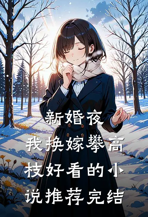 新婚夜，我换嫁攀高枝好看的小说推荐完结