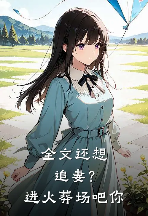 全文还想追妻？进火葬场吧你