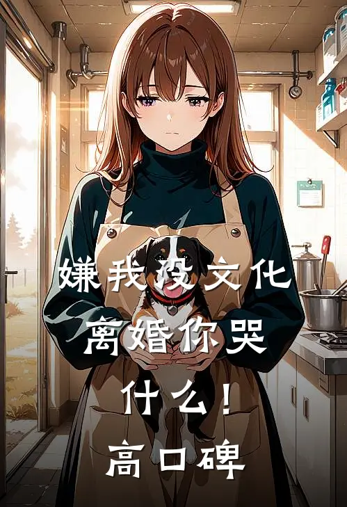 嫌我没文化，离婚你哭什么！高口碑