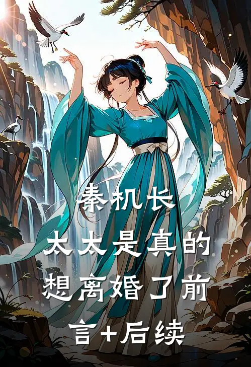 秦机长，太太是真的想离婚了前言+后续