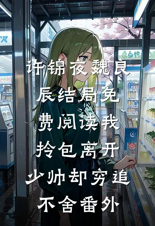 许锦夜魏良辰结局免费阅读我拎包离开，少帅却穷追不舍番外