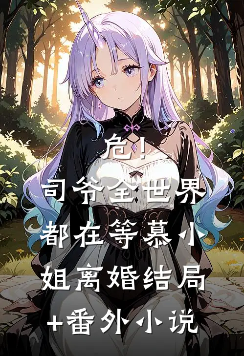 危！司爷，全世界都在等慕小姐离婚结局+番外小说