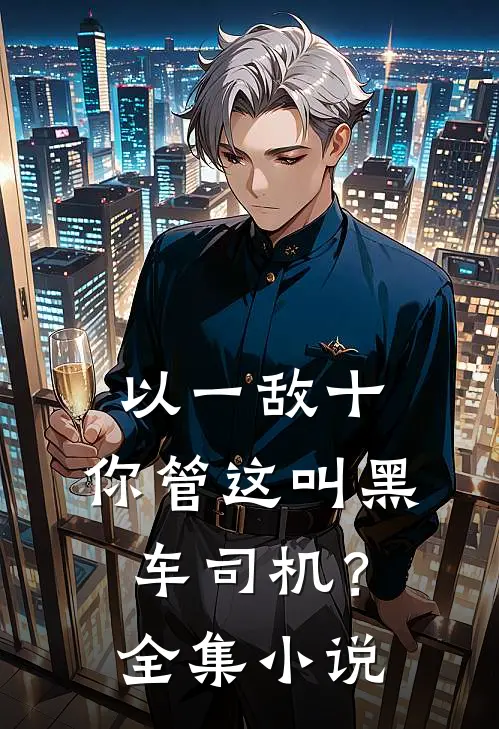 以一敌十，你管这叫黑车司机？全集小说