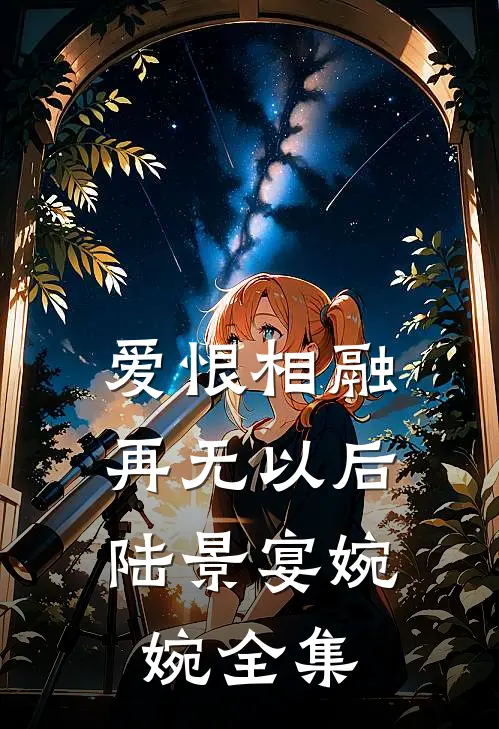 爱恨相融，再无以后陆景宴婉婉全集