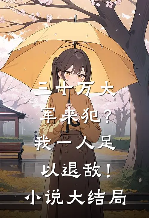 三十万大军来犯？我一人足以退敌！小说大结局