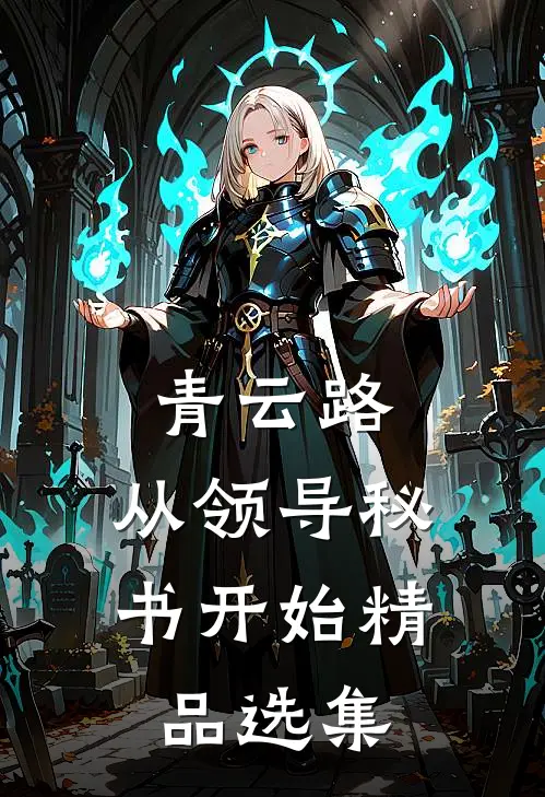 青云路：从领导秘书开始精品选集