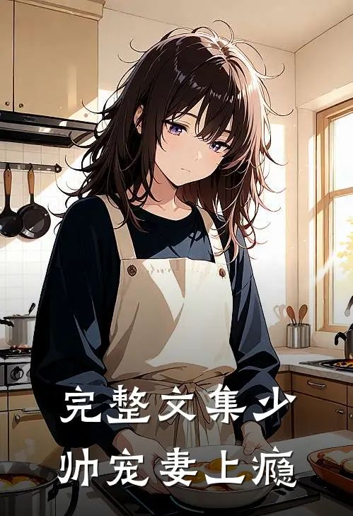 完整文集少帅宠妻上瘾