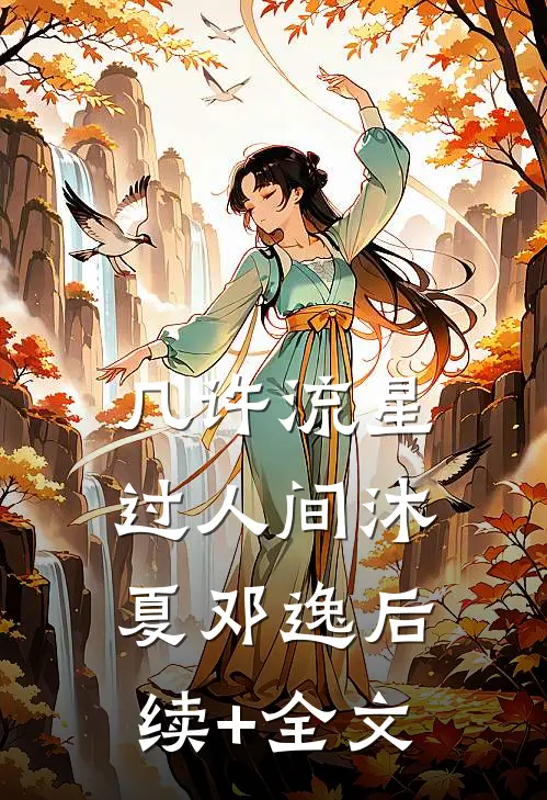 几许流星过人间沐夏邓逸后续+全文