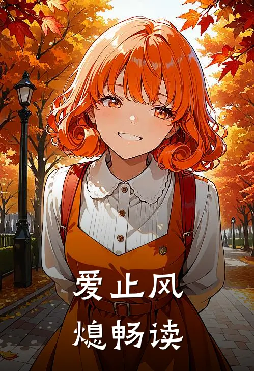 爱止风熄畅读