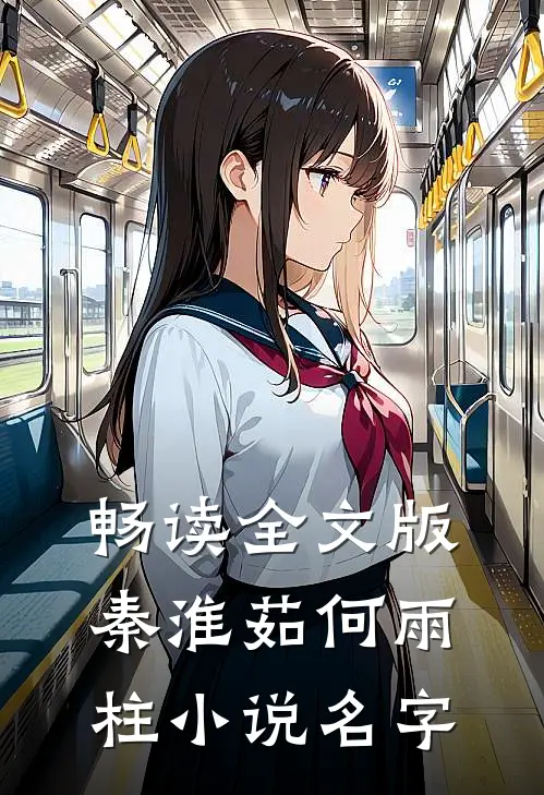 畅读全文版秦淮茹何雨柱小说名字