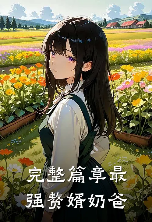 完整篇章最强赘婿奶爸
