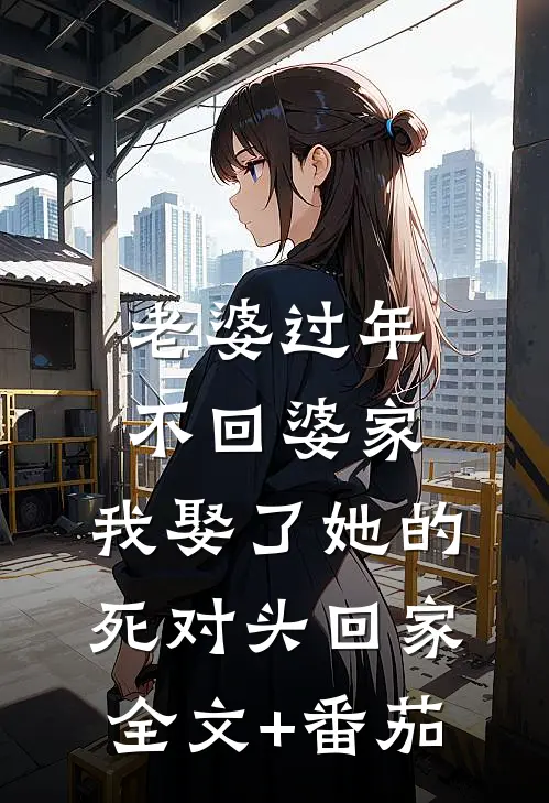 老婆过年不回婆家，我娶了她的死对头回家全文+番茄