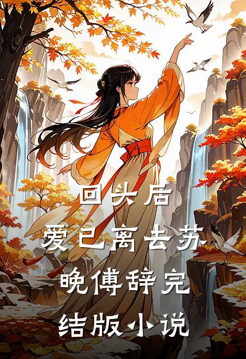 回头后，爱已离去苏晚傅辞完结版小说