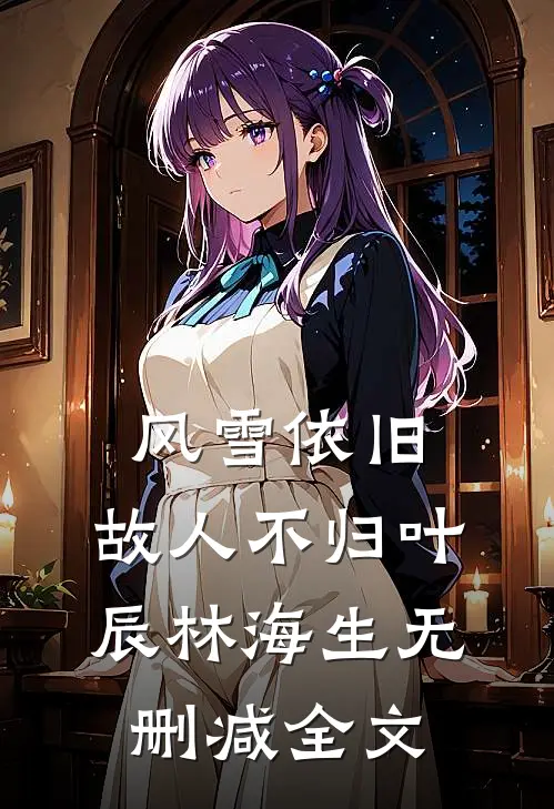 风雪依旧，故人不归叶辰林海生无删减全文