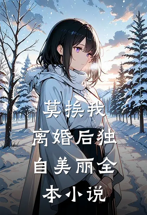 莫挨我，离婚后独自美丽全本小说