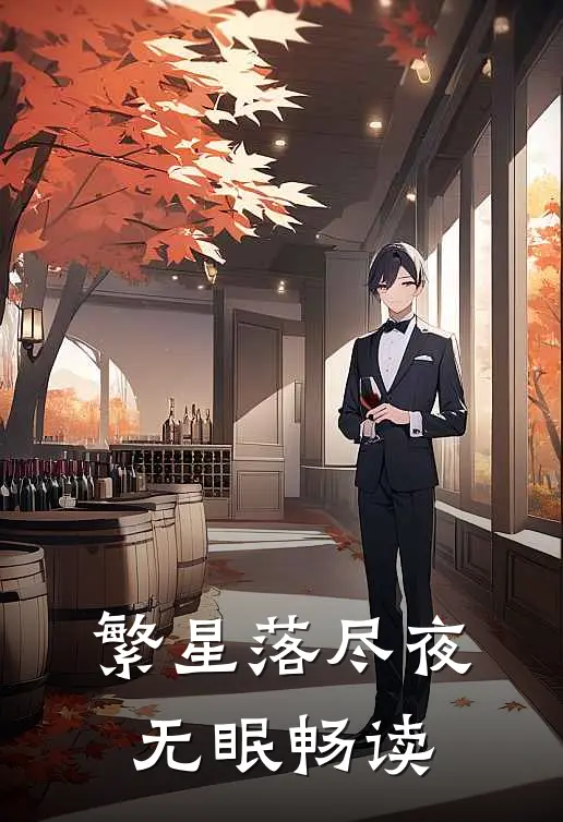 繁星落尽夜无眠畅读