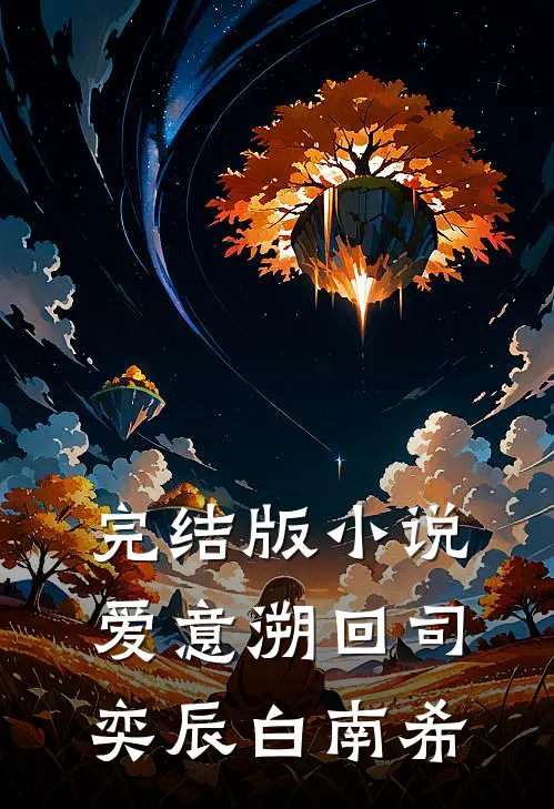 完结版小说爱意溯回司奕辰白南希